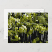 Epidote Postkarte (Vorne/Hinten)