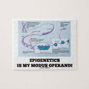 Epigenetics ist mein Modus operandi (Mechanismen) Puzzle