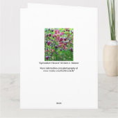 Epimedium Blume Big Birthday Card Karte (Rückseite)