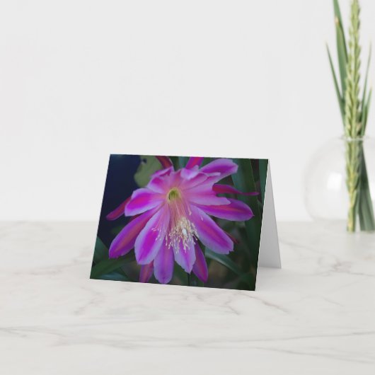 Epiphyllum-Blindkarte (Vorderseite)