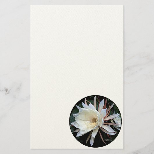 Epiphyte Cactus Blume Briefpapier (Vorderseite)