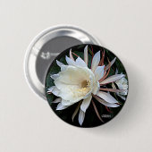 Epiphyte Cactus Blume Button (Vorne & Hinten)