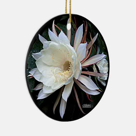 Epiphyte Cactus Blume Keramik Ornament (Rechts)