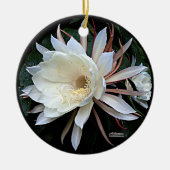 Epiphyte Cactus Blume Keramik Ornament (Vorne)
