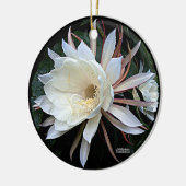 Epiphyte Cactus Blume Keramik Ornament (Links)