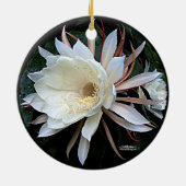 Epiphyte Cactus Blume Keramik Ornament (Hinten)