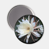 Epiphyte Cactus Blume Magnet (Vorderseite/Rückseite)