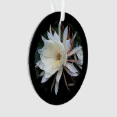 Epiphyte Cactus Blume Ornament (Vorderseite)