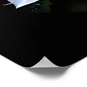 Epiphyte Cactus Blume Poster (Ecke)