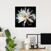 Epiphyte Cactus Blume Poster (Heimbüro)