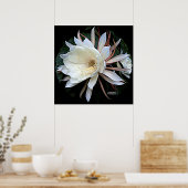 Epiphyte Cactus Blume Poster (Küche)