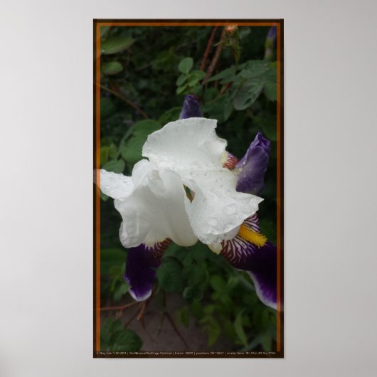 Epische Blume 1 Poster (Vorne)