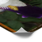 Epische Blume 2 Poster (Ecke)