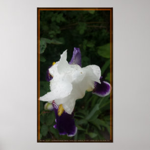 Epische Blume 2 Poster