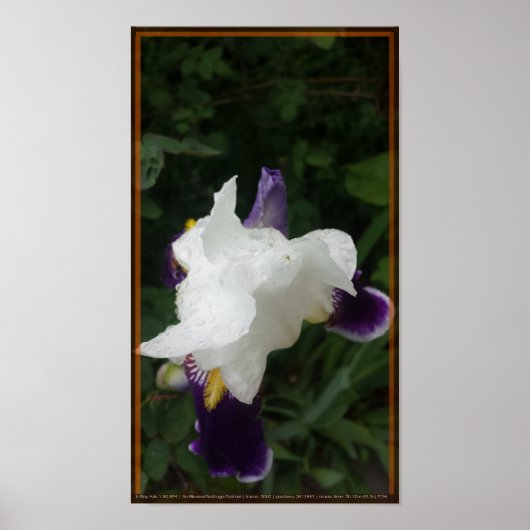 Epische Blume 2 Poster (Vorne)