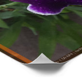 Epische Blume 3 Poster (Ecke)