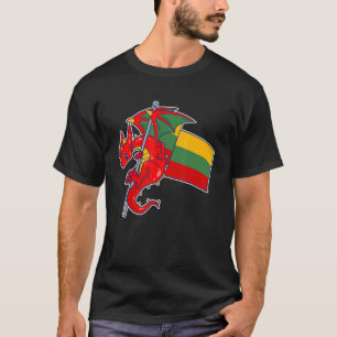 Epische litauische Drachenflagge stolz Litauen T-Shirt