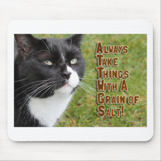 Epische Ratschläge aus einer Cat Motivation Slogan Mousepad