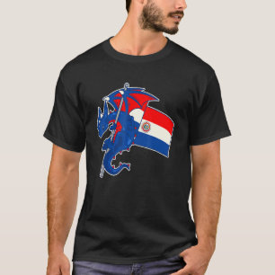 Epischer Drache mit Paraguay-Flagge  Paraguayer T-Shirt