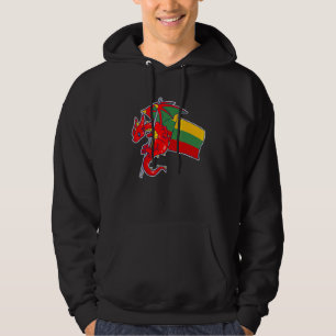Epischer Litauischer Drache  Stolz Litauen-Flagge Hoodie