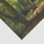 Epping Wald Seidenpapier (Ausschnitt)