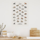 Equiden - Naturalist's Library Poster (Küche)