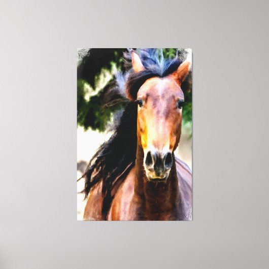 *~* Equine AR22 Black Mane Horse Art Canvas Print Leinwanddruck (Vorderseite)