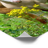 Equine Art Poster Print (Ecke)