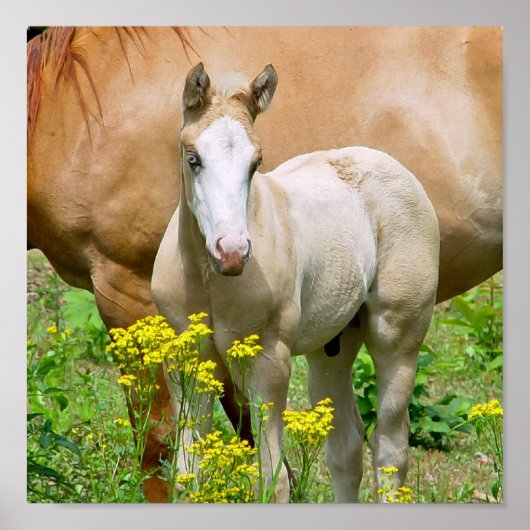 Equine Art Poster Print (Vorne)