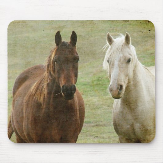 Equine Buddies Mousepad (Vorne)