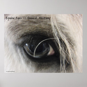 Equine Eyes — Spanischer Mustang Poster