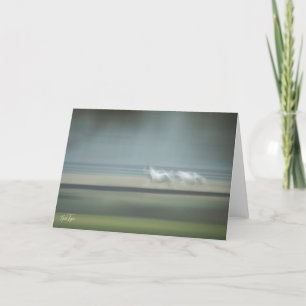 Equine Illusions Notes-Karte Dankeskarte