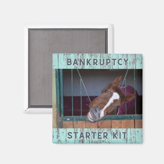 Equine Liebe: Konkursstarter Kit Magnet (Vorderseite/Rückseite)