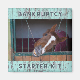 Equine Liebe: Konkursstarter Kit Magnet