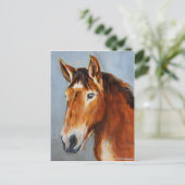 Equine Voices Gulliver Postcard Postkarte (Stehend Vorderseite)