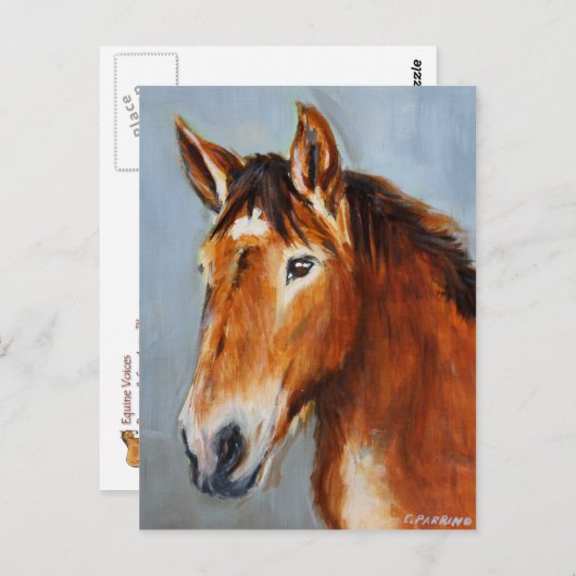 Equine Voices Gulliver Postcard Postkarte (Vorne/Hinten)