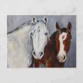 Equine Voices Mystic und Wyatt Postcard Postkarte (Vorderseite)
