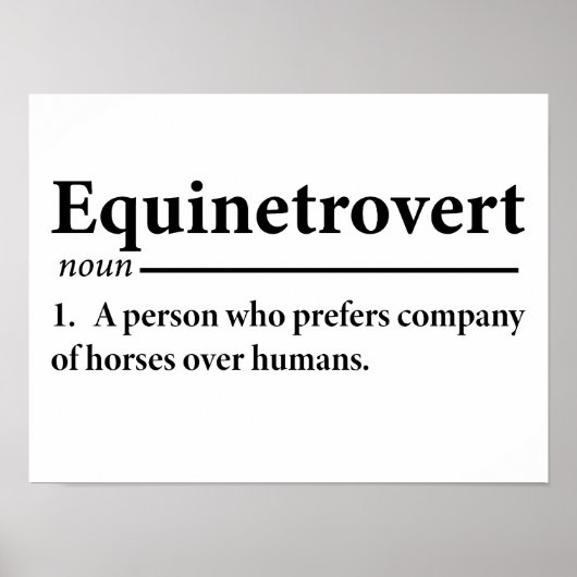 Equinetrovert Definition Funny Reittier Poster (Vorne)