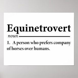 Equinetrovert Definition Lustiges Equestrian Poster