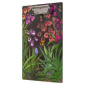 Equitant Oncidium Tolumnia Klemmbrett (Links)