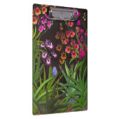 Equitant Oncidium Tolumnia Klemmbrett (Rechts)