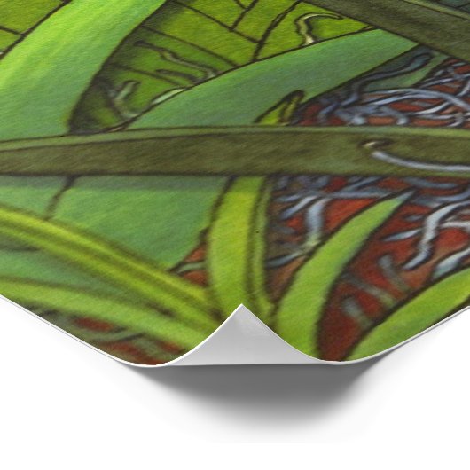 Equitant Oncidium Tolumnia Orchideen Print Poster (Ecke)