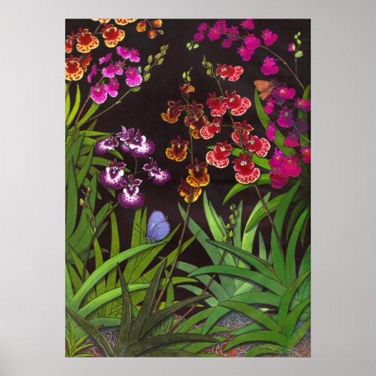 Equitant Oncidium Tolumnia Orchideen Print Poster (Vorne)