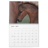 Equus-ungezähmter Pferdekalender Kalender (Mär 2019)
