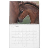 Equus-ungezähmter Pferdekalender Kalender (Mär 2027)