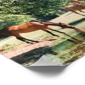 Er führt mich neben den stillen Wassern ... Poster (Ecke)