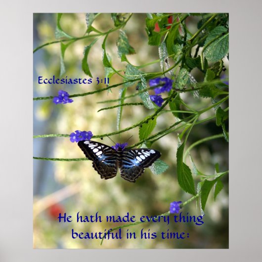 Er hat alles schöne Poster gemacht (Vorne)