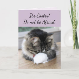 Er hat die "Kitten Osterkarte" Feiertagskarte