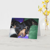 ER HAT SCHON GESEHEN, DASS ER MEIN BRUDER IST. BIR KARTE (Gelbe Blume)