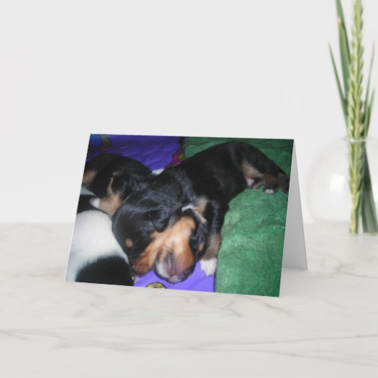 ER HAT SCHON GESEHEN, DASS ER MEIN BRUDER IST. BIR KARTE (Vorderseite)